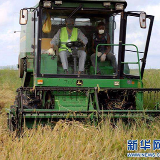 中非·案例方案典范丨走进中国在非最大规模水稻种植项目：万宝农业园