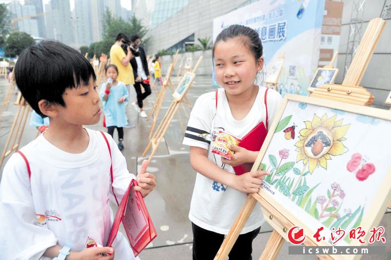 　　一件件废弃物品被制作成一幅幅奇思妙想的“虫虫创意画”，引来观展者纷纷点赞。　　长沙晚报全媒体记者 贺文兵 摄