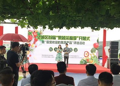 节假日带孩子享“田园童趣” 长沙市望城区“果蔬采摘季”来了