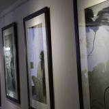 “杨福音的绘画艺术”精品展举行 展示当代文人画的又一高峰