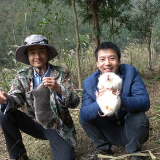 土味短视频里的回村青年：展现生活的另一种截面