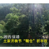保靖：举行土家开秧节 “糊仓”祈丰收