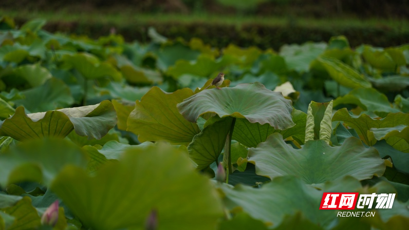 DSC02552.jpg DSC02552.jpg