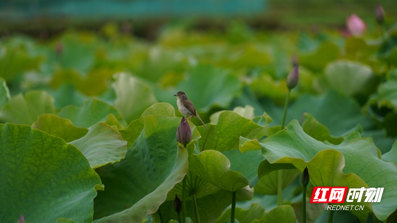 DSC01983.jpg DSC01983.jpg