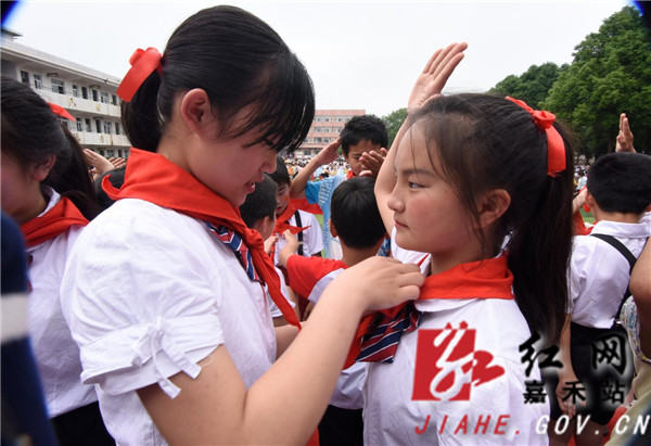 微信图片_20190603114823_副本.jpg