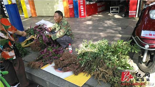 微信图片_20190603082749_副本.jpg