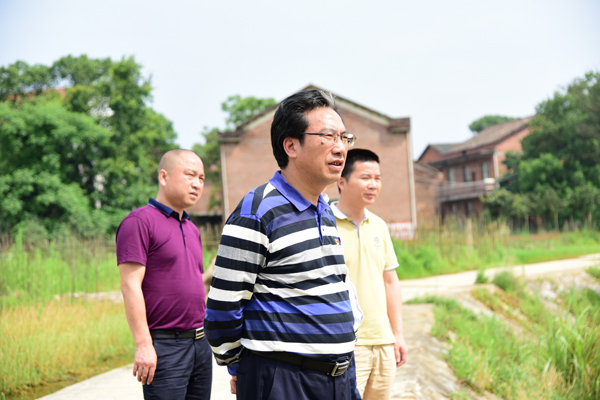 吴伟生率队巡河和草市镇江坪村督查脱贫攻坚工作_时刻_红网