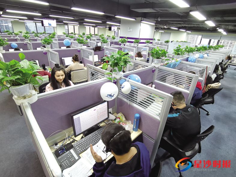 　　在聚鲨环球精选长沙大数据营销中心，员工们正在自己工位上用电话与客户进行沟通。蒋炼 摄
