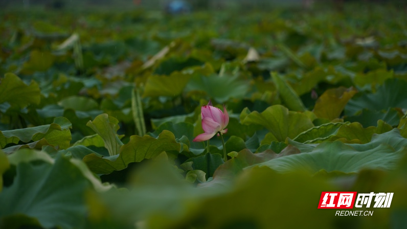 DSC01789.jpg DSC01789.jpg