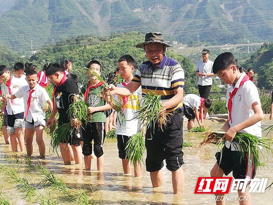 张家界崇实小学南校机场校区：一份特殊的毕业答卷