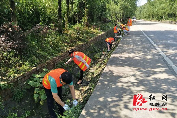 践行生态环境保护 发展绿色公路