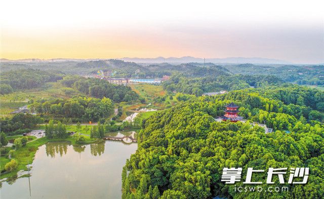 截至5月31日，全市空气质量优良天数累计122天，优良率为80.8%，与去年同期相比，优良天数增加6天，优良率提高1.3个百分点。图为长沙园林生态园。