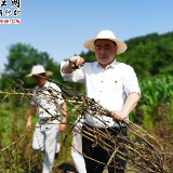 新化纪委监委开展“五个一”：“用我们的辛苦指数换取你们的幸福指数”