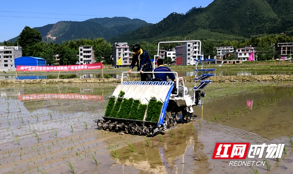 绥宁县：农机推广到田间 群众致富有帮手