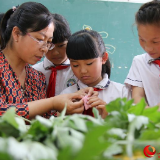 河北邯郸：包粽子做香囊 品味民俗迎端午