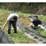 湘西脱贫故事丨贾阳升：实干亲民好书记 “三心”锤炼扶贫人