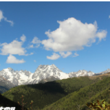 2019全国网络媒体迪庆行｜白马雪山保护区：寒温带上的高山动植物王国