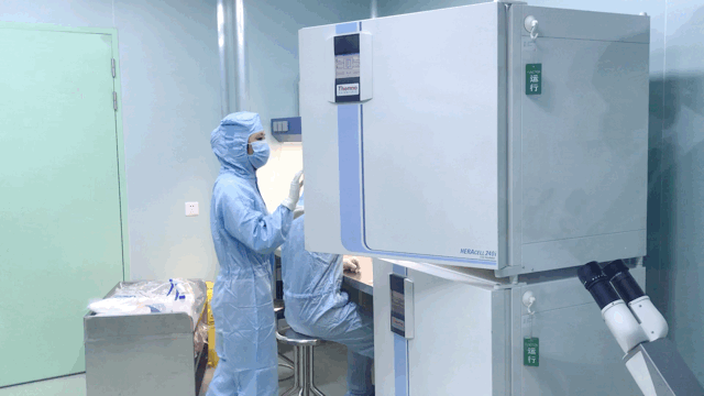 QQ图片20190606095759.gif