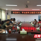 益阳市委办三支部开展“不忘初心,牢记使命”主题党日活动