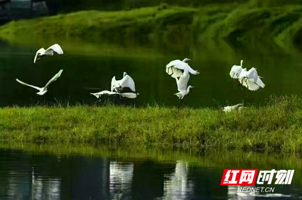 ????_20190601134522_??.jpg ????_20190601134522_??.jpg