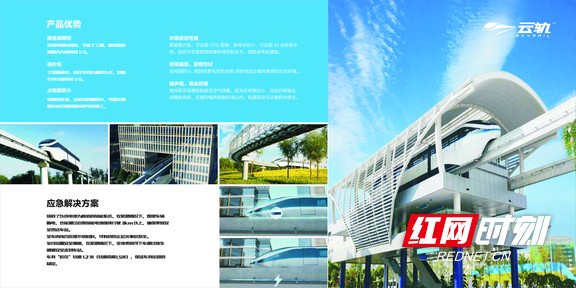 mmexport1556248660078.marked.jpg