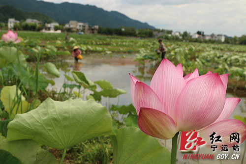 农旅结合2000 拷贝.jpg 农旅结合2000 拷贝.jpg