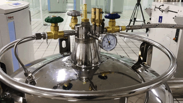 QQ图片20190606092848.gif