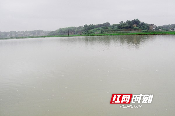 新邵陈家坊镇遭洪水侵袭  大片农田被淹