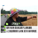 禁止机割小麦：藏在形式主义中的“权力任性”