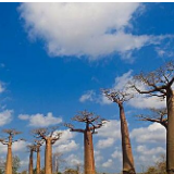 中非·案例方案典范丨企业非洲本土化模式带来双边互利共赢