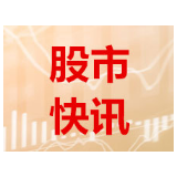 大湖股份重组事项被立案调查 早盘跌停