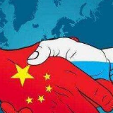 为引领新时代大国关系树立全球典范