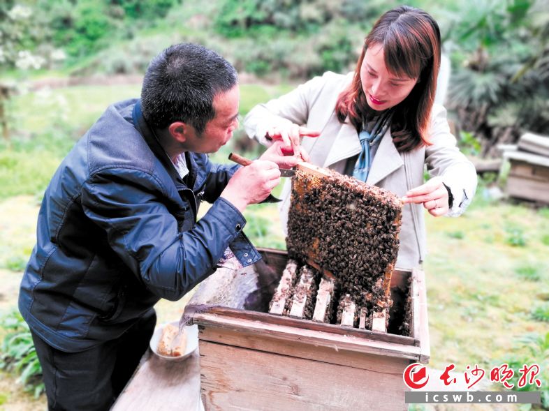 聂花（右）为贫困户传授养蜂技术。