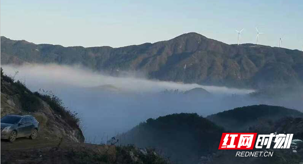 隆回白马山国有林场： 藏在云中的秀美林场