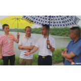 胡军对沙河水库整治情况进行“回头看”
