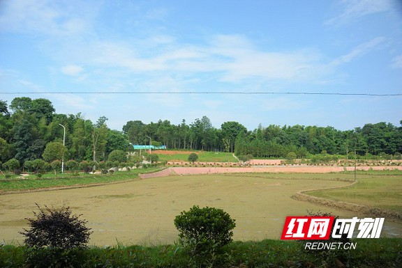 1a2f64ed-b705-401a-815e-89983a3e6ab2.marked.jpg