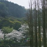 共同书写文明交流互鉴新篇章