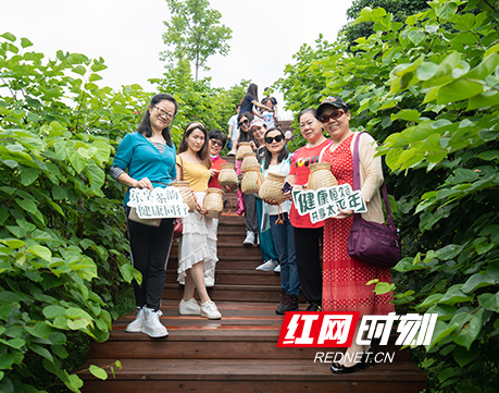 太平人寿湖南分公司举办“乐享茶韵，健康同行”VIP专属活动