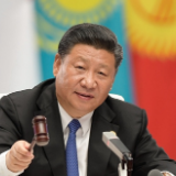 习近平为上合组织发展注入中国智慧