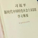 以高度自觉抓好《纲要》的贯彻落实