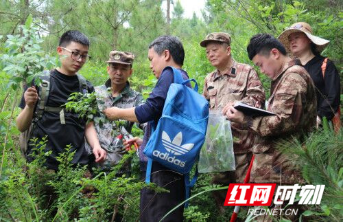 永州市中医院深入开展全国第四次中药资源普查工作