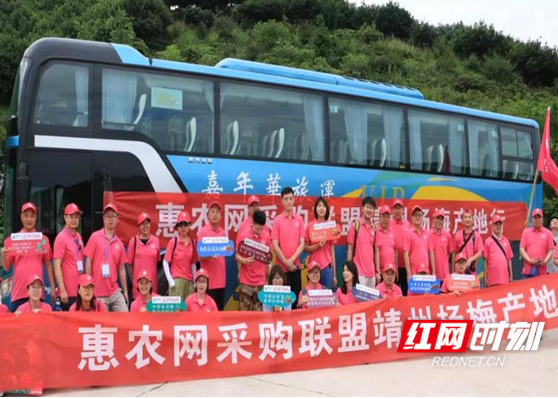 靖州“梅”样本|助力中国好农货