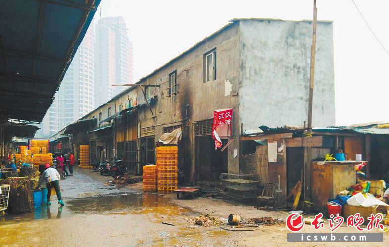 毛家桥家禽市场旧貌。 资料图片