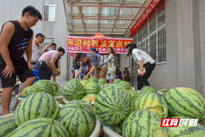 MAO_5570 20190613扶贫西瓜售卖 红网_副本.jpg