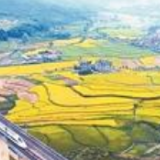 地评线｜透过青藏铁路看民族精神