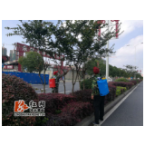 冷水滩区园林处： 修剪除虫相结合 双管齐下打响护绿战