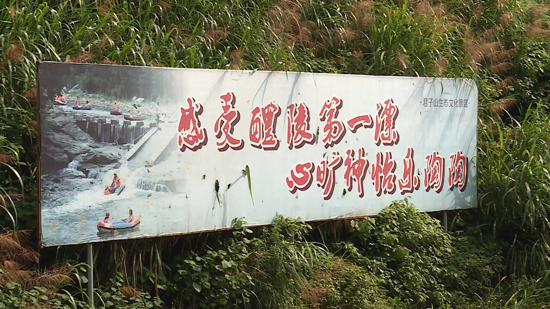 555.jpg