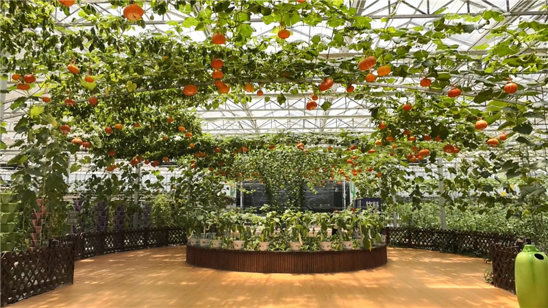 ???? ??????????????????????????1.jpg ???? ??????????????????????????1.jpg