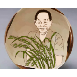 “黑石号”新瓷话①:湖南一粒稻，非洲岛国说丰年