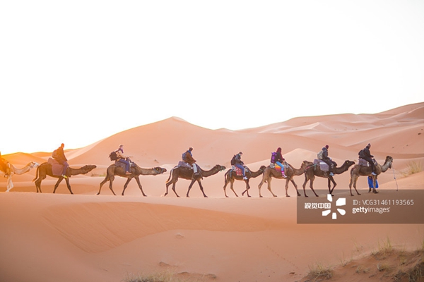 2014年2月24日，摩洛哥撒哈拉沙漠的驼队。.jpg